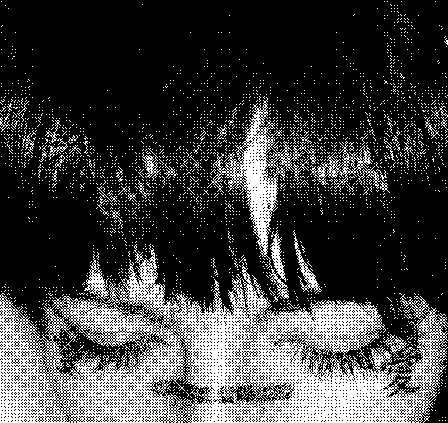 Serigrafía halftone INTI(t)
